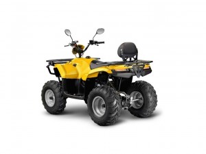 Квадроцикл IRBIS ATV 200 - фото 1