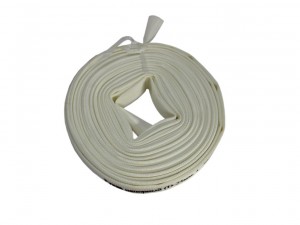 Рукав ф25мм напорный Champion C2541, 20м - фото 2