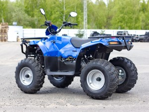 Квадроцикл IRBIS ATV 200 ATV200 2024 - фото 2